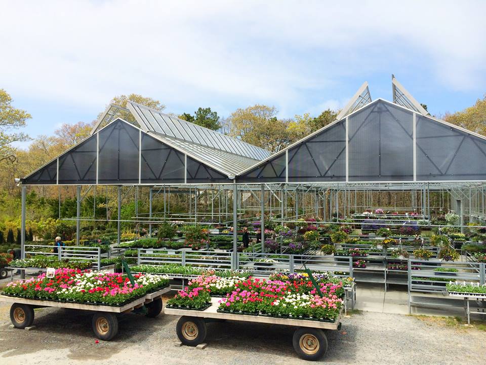 Crocker Nurseries Plant Nursery Brewster, MA