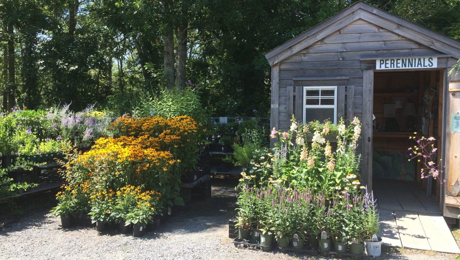 Perennials Crocker Nurseries