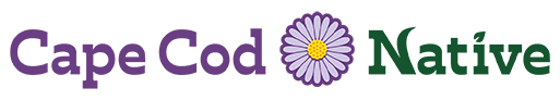 Cape Cod Native Logo