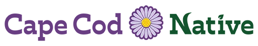 Cape Cod Native Logo