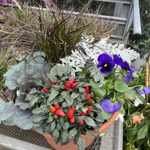 Fall Container Garden