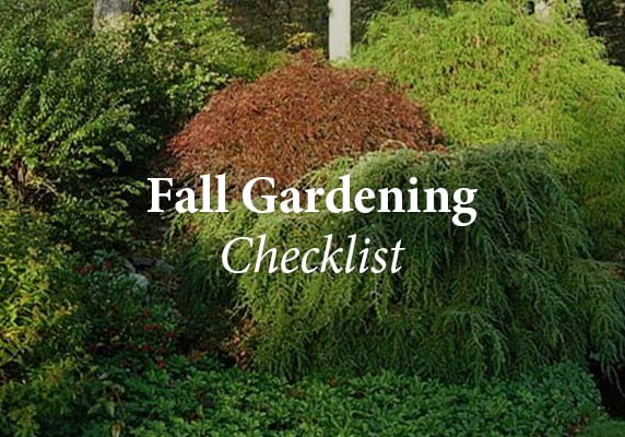 Fall Gardening Checklist